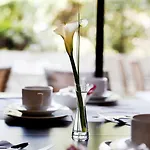 Mercure Centre Довиль