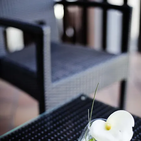 Mercure Centre Ντοβίλ