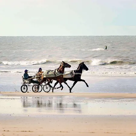 Mercure Centre 4* Deauville